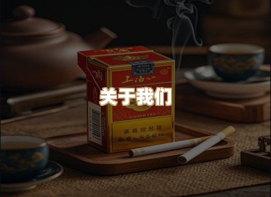 关于蓝帝网